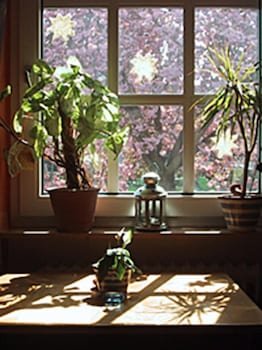 hotel rosengarten kehl