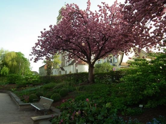 hotel rosengarten kehl