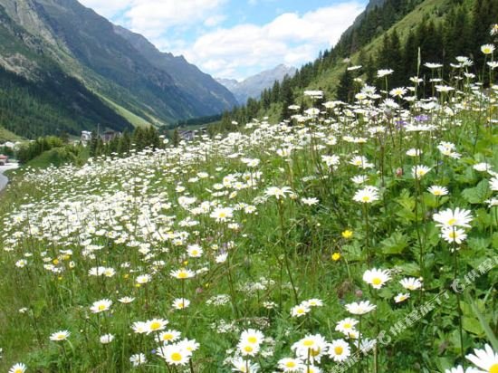 alpinhotel zirbenhof