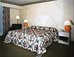 holiday inn leon by ihg