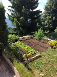 Hotel Le Grand Chalet,Lausanne>>Aigle,3 star