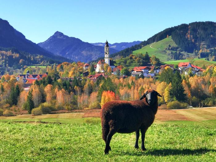 hotel kienberger hof