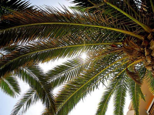 aristea hotel rethymnon