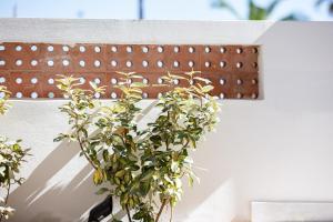 aristea hotel rethymnon