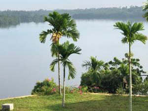 kalla bongo lake resort