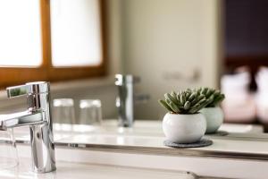 hotel und gasthaus seehornle