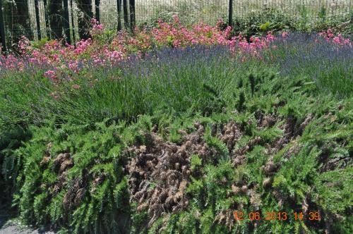 Ibis Budget Istres Trigance,Istres>>Bouches-Du-Rhône,2 star