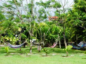 arenal backpackers resort