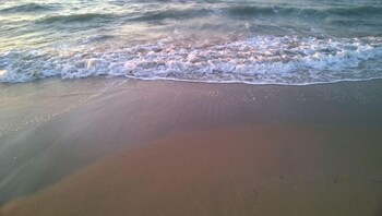 the wave