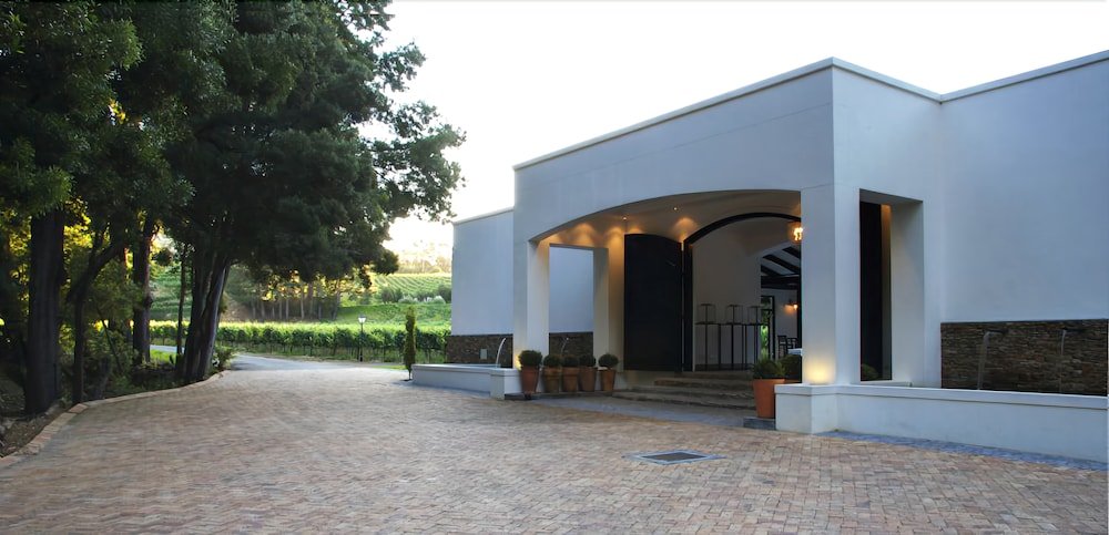 molenvliet vineyards