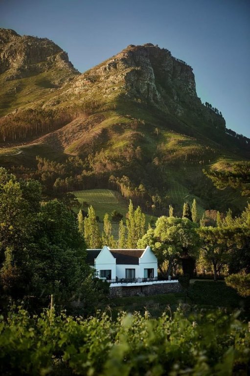 stellenbosch