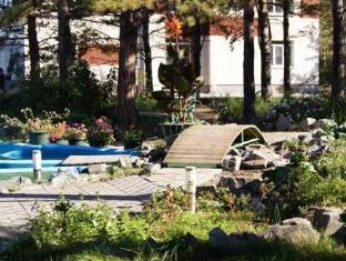 Abnicum,Novosibirsk Oblast>>Novosibirsk,4 star