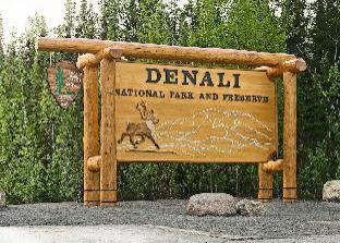denali national park