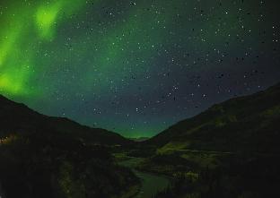 denali national park