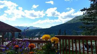 denali national park