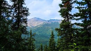 denali national park