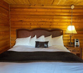 denali national park