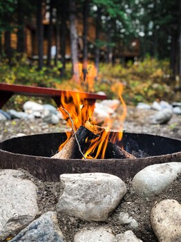 denali national park