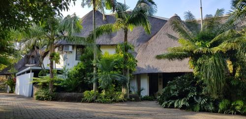 african ambience