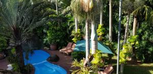african ambience