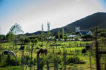 Karoo Art Hotel,Cape Town>>Barrydale,4 star