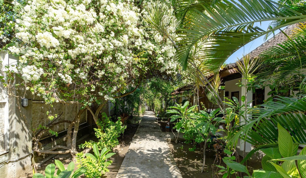 gili trawangan