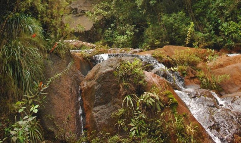 holguin