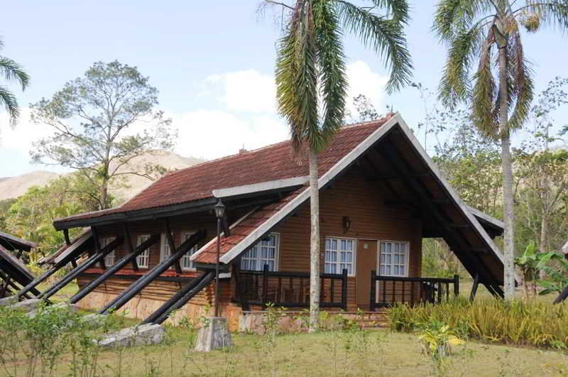 holguin