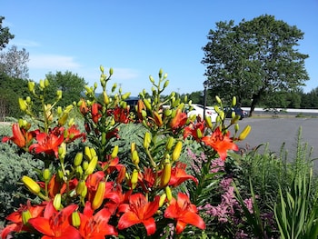 Granite Town Hotel,New Brunswick>>L'etete,3 star
