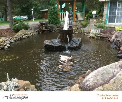 domaine riviere sacacomie