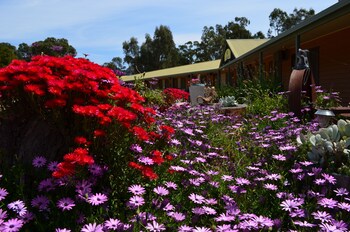 mountain view motor inn and holiday lodges