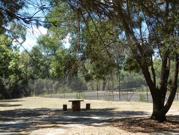 mountain view motor inn and holiday lodges