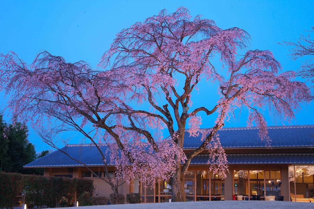 kyoto utano youth hostel