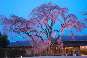 kyoto utano youth hostel