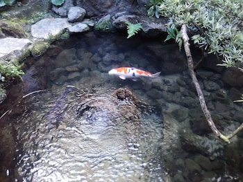 Yadoya Kikokuso,Kyoto Prefecture>>Kyoto,3 star