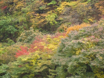 Koduchi No Yado Tsurukamedaikichi,Tochigi>>Nikko,3.5 star