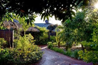 mantra frangipani broome