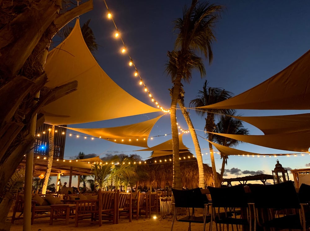 the bellafonte luxury oceanfront hotel