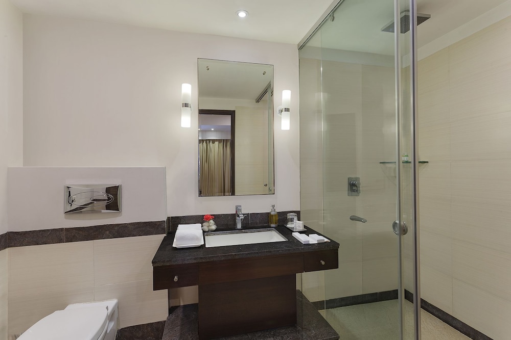 city heart sarovar portico