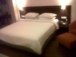 city heart sarovar portico