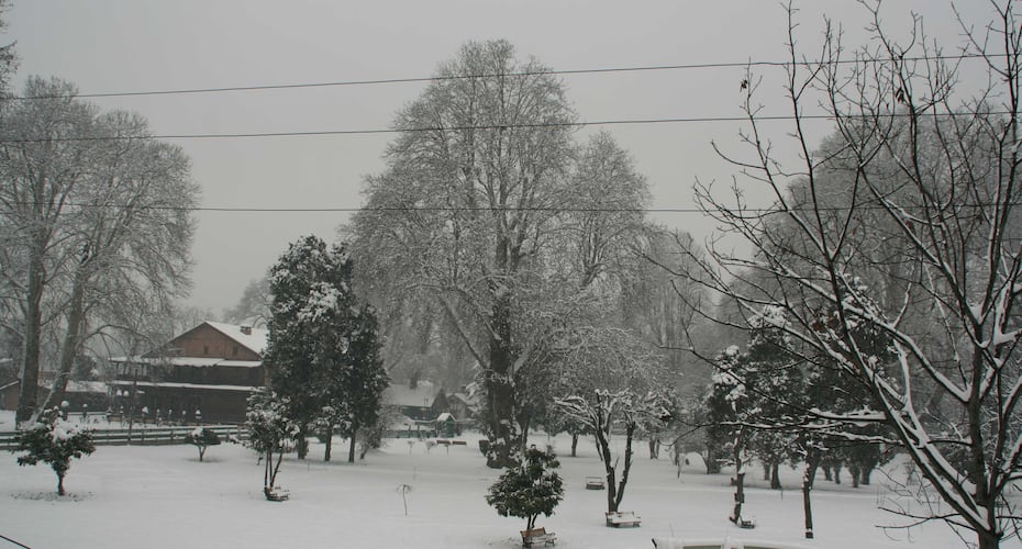 srinagar