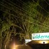 wildernest