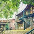 wildernest