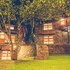 wildernest