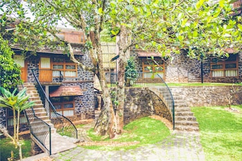 wildernest