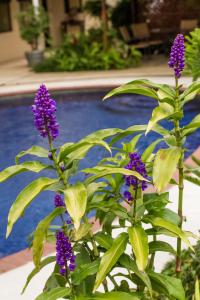 san antonio de belen