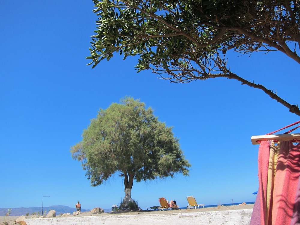 baladinos apartments