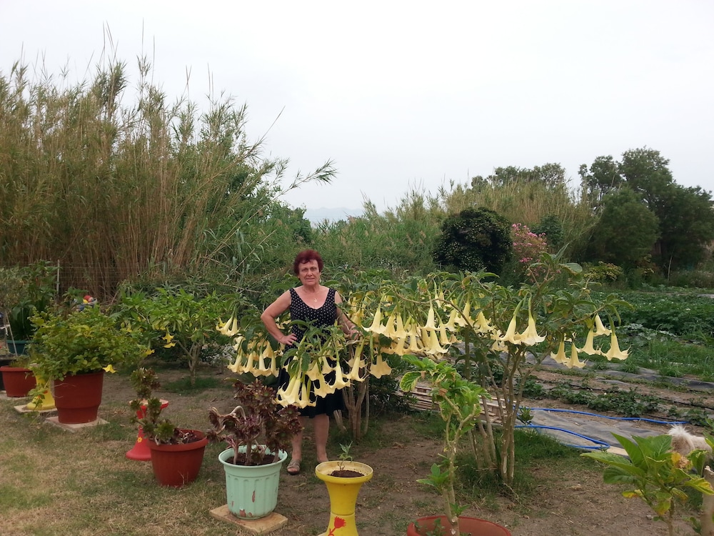 baladinos apartments