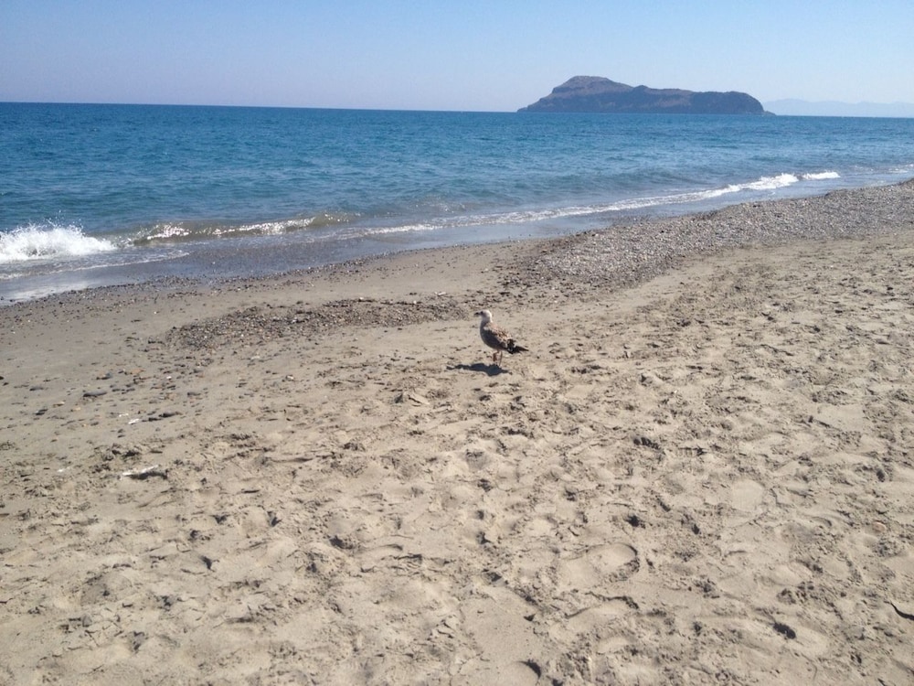 baladinos apartments