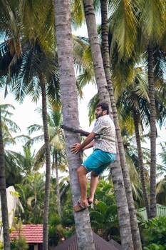 mettupalayam